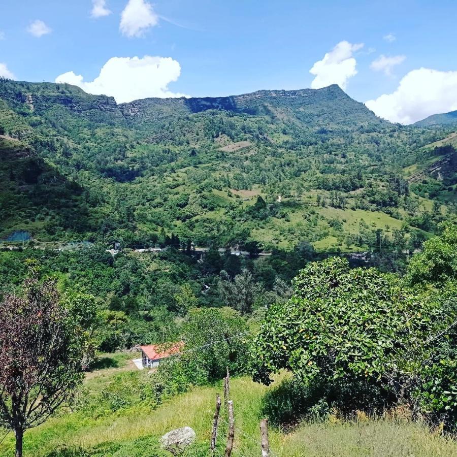 Glamping Transito